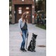 Eine Person in einer Jeansjacke und Jeans steht auf einem Steinpflaster und hält eine Leine für einen schwarz-grauen Hund, der zu ihnen aufblickt.