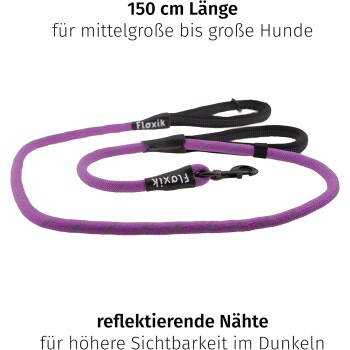 Lila Hundeleine, 150 cm lang, entworfen für mittelgroße bis große Hunde, mit reflektierenden Nähten für bessere Sichtbarkeit im Dunkeln.
