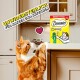 Orange-weiße Katze greift nach einer Dreamies Creamy Katzenleckerlibox auf einer Küchenarbeitsplatte mit Text „UNWIDERSTEHLICH FÜR KATZEN UND KÄTZCHEN“.