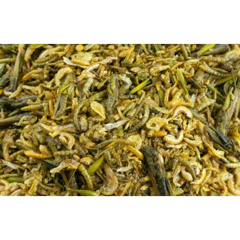 Getrocknete Insektenproteinmischung für Haustiere, mit verschiedenen Insekten und Larven in einer natürlichen, erdigen Farbpalette.