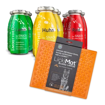 Vier bunte Gläser mit SmoothieDog-Haustiersnacks, beschriftet mit "Huhn", "Lamm" und "Rind", neben einem orangefarbenen LickiMat Buddy Large.