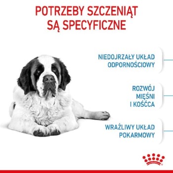 ROYAL CANIN Giant Junior 15 kg MAXI ZOO