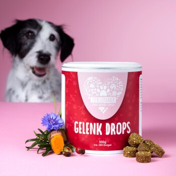 Tierliebhaber Gelenk Drops für Hunde 350g
