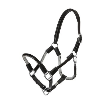 Schwarzes und silbernes Haustiergeschirr mit gepolsterten Riemen und Metallclips, entworfen für Komfort und Kontrolle beim Spaziergang.