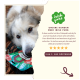 Tierfutterverpackung mit der Aufschrift 'Irish Pure', die eine Fünf-Sterne-Kundenbewertung lobt, die den Duft und die Vorliebe der Hunde für die Leckereien lobt.