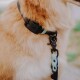 Halsband - Outdoor SPORT mintgrün L
