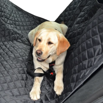 Ein gelber Labrador Retriever sitzt auf einem schwarzen, gesteppten Autositzbezug für Haustiere, der mit einem Geschirr gesichert ist.