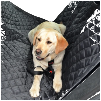 Ein gelber Labrador Retriever sitzt auf einem schwarzen, gesteppten Autositzbezug für Haustiere, der mit einem Geschirr gesichert ist.