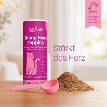 Graue Katze schnüffelt an einem rosa KatKare-Behälter 'Strong Heart Topping' mit Messlöffel und einem Haufen Pulver auf dem Tisch.