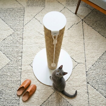 Graue Katze neben einem hohen Sisal-Kratzbaum mit weißer runder Basis auf einem gemusterten Teppich, braune Lederschlappen in der Nähe.
