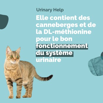 Image d'un chat avec un texte indiquant 'Aide Urinaire' et des détails sur des ingrédients comme les canneberges et la DL-méthionine pour la santé urinaire.