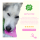 Nahaufnahme des ausdrucksvollen Gesichts eines Hundes mit einem Testimonial für Irish Pure Hundefutter, fünf Sterne, von Lisa K. aus Hamburg.