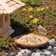 Ein kleiner brauner Vogel steht neben einem hölzernen Vogelhaus, das mit Samen gefüllt ist, umgeben von bunten Blumen und Grün.