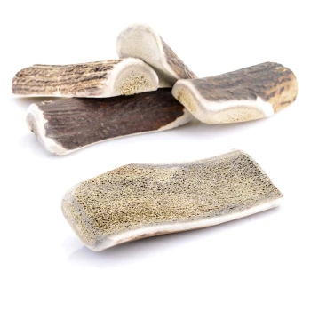 halbiertes Geweih S ca. 50-80g Ein Haufen von fünf natürlichen Hundekau-Knochen, die in Form und Farbe variieren, auf einem weißen Hintergrund präsentiert.