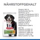 Hundefutterbeutel mit einem Berner Sennenhund, mit Nährwertinformationen, einschließlich Protein, Fett, Ballaststoffen und Vitaminen, die auf Deutsch aufgeführt sind.
