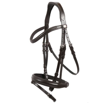 Braune Lederpferdezaum mit mehreren Riemen und Schnallen, vor einem weißen Hintergrund präsentiert.