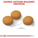 ROYAL CANIN Dermacomfort Maxi 3 kg