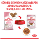 Royal Canin KITTEN Trocken- und Nassfutterpackungen, rote Schüssel mit Trockenfutter und Nahaufnahmen; Text: „GÖNNEN SIE IHREM KATZENWELPEN”