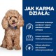 Szczęśliwy, puszysty brązowy pudel siedzi na niebieskim tle, z tekstem opisującym, jak technologia ActivBiome+ odżywia mikrobiom jelitowy zwierzęcia.