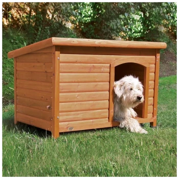 Un chien blanc duveteux regarde par une niche en bois avec un toit incliné, situé sur de l'herbe verte dans un environnement extérieur ensoleillé.