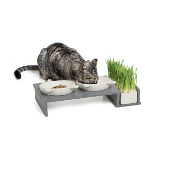 Futterbar Cat Diner grau/ weiß