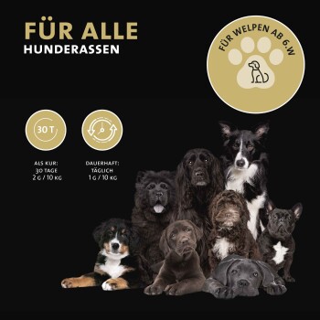 Bild von Hunderassen mit dem Text: 'FÜR ALLE HUNDERASSEN' und Dosierungsdetails für Hunde und Welpen.