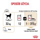 Infografika szczegółowo opisująca wytyczne dotyczące karmienia dla 32 kg dorosłego Labrador Retrievera, pokazująca 12 puszek lub 1 puszkę plus 373g jedzenia, z ikoną wody.