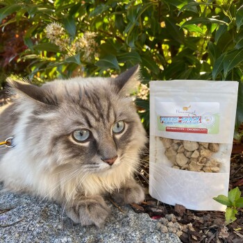 Eine flauschige grau-weiße Katze mit auffälligen blauen Augen liegt neben einem Beutel mit gefriergetrockneten Hühnerherzsnacks, beschriftet mit 'I love my cat FREEZE-SNACK.'