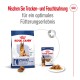 Royal Canin Hundefutterverpackung zeigt eine große Tüte Trockenfutter und eine Dose Nassfutter, die ihre Kombination für optimale Fütterung bewirbt.