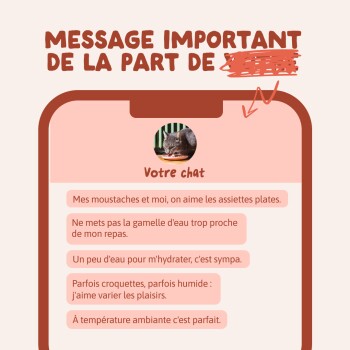 Visuel de téléphone : en-tête « MESSAGE IMPORTANT DE LA PART DE », photo de chat légendée « Votre chat », bulles de conversation en français au sujet des préférences alimentaires.