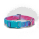 Bunter Hundehalsband mit einem Farbverlauf in Blau und Pink, mit einer türkisfarbenen Schnalle und einem metallischen D-Ring zur Leinenbefestigung.