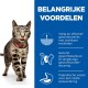 Een tabby kat met een rode halsband liket zijn lippen naast een blauw paneel met een lijst van voordelen voor gewichtsverlies en spijsvertering.