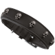 Schwarzes Lederhalsband für Hunde, verziert mit metallischen Totenkopf-Nieten, das ein stilvolles und kantiges Design zeigt.