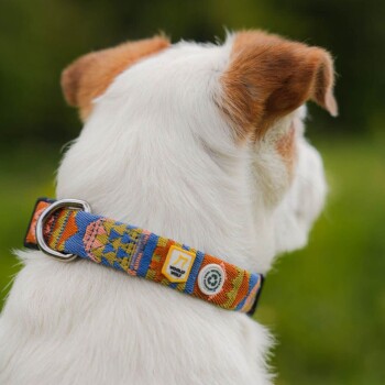 Eine Nahaufnahme eines weißen Hundes mit braunen Flecken, der ein farbenfrohes, gemustertes Halsband mit blauen, orangefarbenen und gelben Designs trägt.