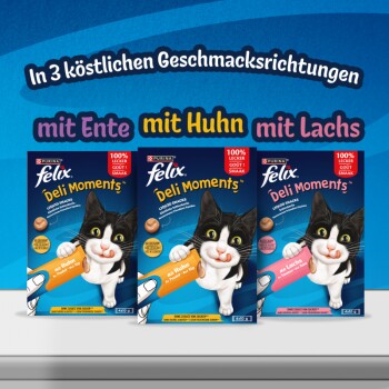 Drei Purina Felix Deli Moments Katzensnack-Schachteln mit Katzenmaskottchen; Sorten beschriftet mit 'mit Ente', 'mit Huhn', 'mit Lachs' und Überschrift 'In 3 köstlichen Geschmacksrichtungen'.