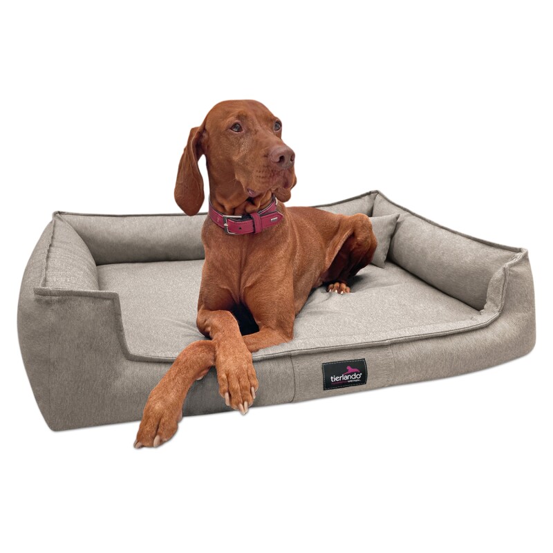Tierlando ® Orthopädisches Hundebett GUSTAV SCANDI CHIC Große Hunde XL Hundesofa