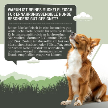 Dosen mit reinem Muskelfleisch für empfindliche Hunde, beschriftet mit Pferd Pur, Ente Pur und Hirsch Pur, die hypoallergene und Einzelproteinmerkmale hervorheben.
