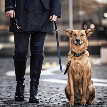 Eine Person in einem dunklen Mantel und kniehohen Stiefeln steht auf einer Kopfsteinpflasterstraße und hält eine Leine, die an einem sitzenden braunen Hund befestigt ist.