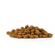 Ein Haufen brauner, kibble-großer Tierfutterstücke auf einem weißen Hintergrund, der ihre Textur und Form zeigt.