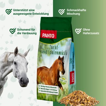 PANTO Pferdefuttertasche mit einem braunen und weißen Pferd. Highlights: "Vitamine & Mineralien", "Leckere Mischung", "Unterstützt die Verdauung & Vitalität."