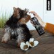 Eine Person besprüht einen kleinen Hund mit einer schwarzen Flasche, die mit "ALPHAZOO" beschriftet ist, während sie auf einer gesteppten Oberfläche sitzt, mit Blumen in der Nähe.
