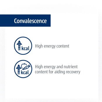 Image promoting pet food for convalescence, featuring icons indicating high energy content and nutrient support for recovery.