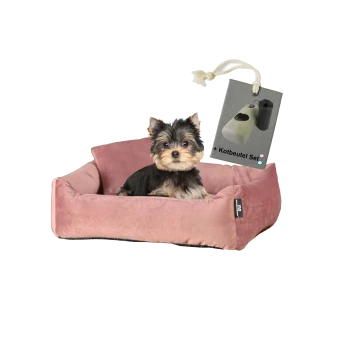 Ein kleiner Hund sitzt bequem in einem plüschigen, rosa Haustierbett, begleitet von einem Etikett, das "+ Kotbeutel Set" liest.