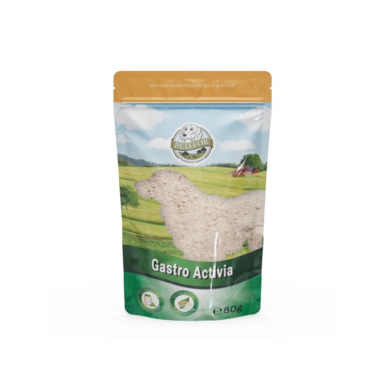Bellfor Gastro Activia Pulver - 80g