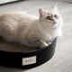 Kratzbrett Kratzpappe inkl. Katzenminze schwarz