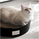Eine flauschige hellfarbige Katze mit blauen Augen ruht auf einem runden Kratzpad mit der Aufschrift "MINTY & MARLA", vor einem hellen Holzboden.