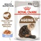 Royal Canin Ageing 12+ kattenvoer verpakking met een fluffy kattenillustratie, die gezondheidsvoeding en gewrichtsvoordelen (EPA/DHA) benadrukt.