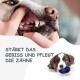 Eine Person, die sanft den Mund eines Hundes öffnet, um seine Zähne zu zeigen. Text lautet "Stärkt das Gebiss und pflegt die Zähne", betont die Zahnpflege.