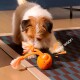 Kleiner weiß-brauner Terrier kaut auf einem orangefarbenen Seilball auf einem gemusterten Teppich, grafischer Text 'WOOF WOOF!'.