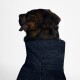 Ein brauner und schwarzer Hund, der ein dunkelblaues Handtuch trägt und von der Kamera abgewandt vor einem schlichten weißen Hintergrund steht.